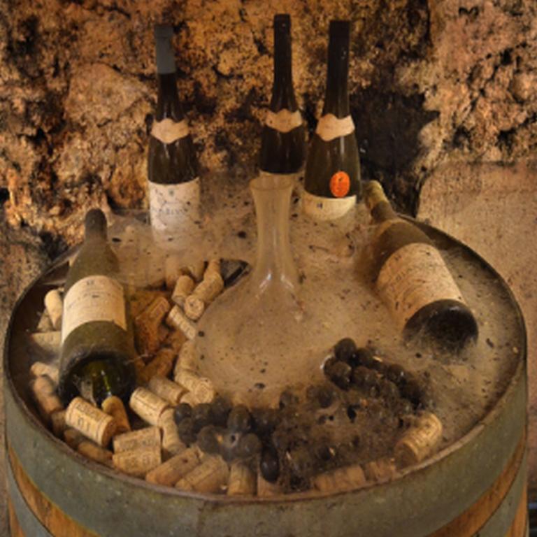 Chateau Rieutort Saint-Pargoire Esterno foto
